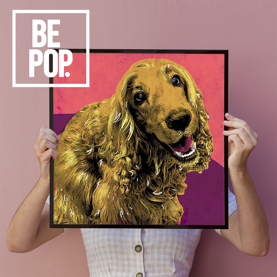 be pop be your icon iconpop pet pop