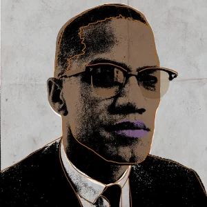 Malcolm X iconpop